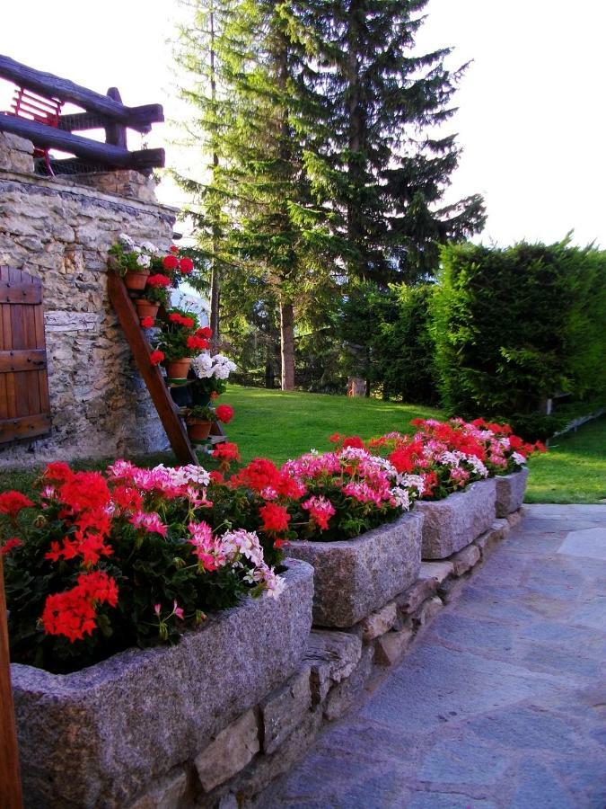 Le Petit Chateau De Vetan Cir 0023 Сен-Пьер Экстерьер фото